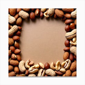 Nut Frame 21 Canvas Print