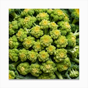 Florets Of Broccoli 9 Canvas Print