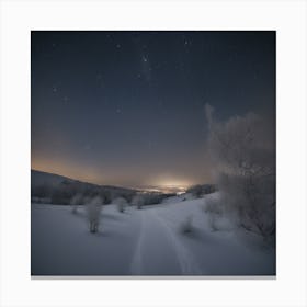 Snowy Landscape At Night Canvas Print