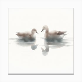 Two Ducks In The Water Canvas Print