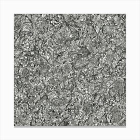 Black And White Paisley Canvas Print