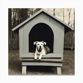 Dog relaxing in House Canvas Print