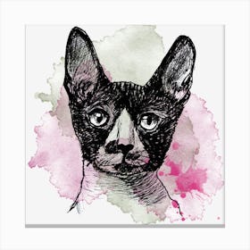 Sphynx Cat Canvas Print