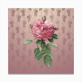 Vintage Giant French Rose Botanical on Dusty Pink Pattern n.0452 Canvas Print