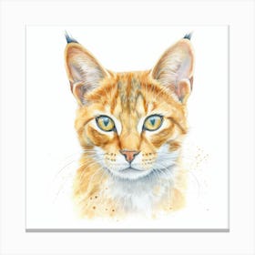 California Spangled Gold Cat Portrait 3 Canvas Print