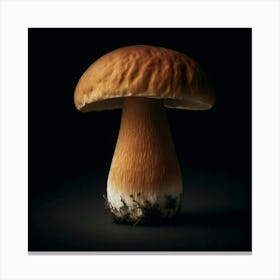 Mushroom Stock Videos & Royalty-Free Footage 1 Canvas Print