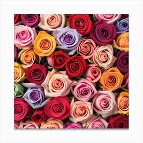 Colorful Roses Background 30 Canvas Print