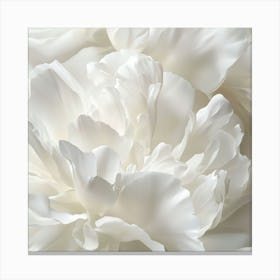 White Peony Leinwandbild