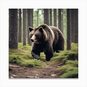 Brown Bear In The Forest 7 Canvas Print