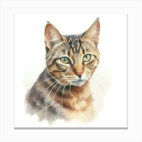 York Chocolate Cat Portrait 3 Canvas Print