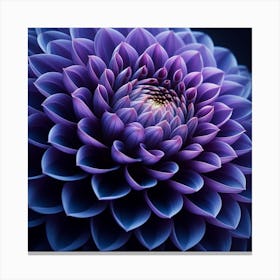 Indigo Dahlia Canvas Print