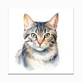 American Polydactyl Cat Portrait 1 Canvas Print