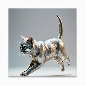 Running Cat Canvas Print