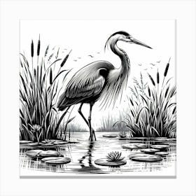 Illustration Heron 2 Canvas Print