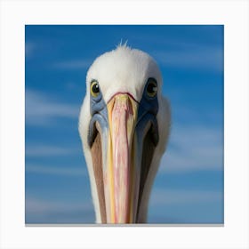 Close Up Of A Pelicans Beak And Eyes Set Against A Dgj Jopjqzcqk5gybn4 Jw Plm2axw Riqgej4j6dnrca(1) Canvas Print