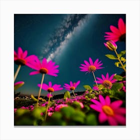 Daisies In The Night Sky Canvas Print