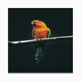 Parrot On A Branch Canvas Print