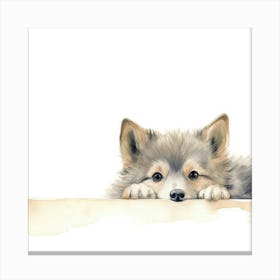 Swedish Vallhund Dog Canvas Print