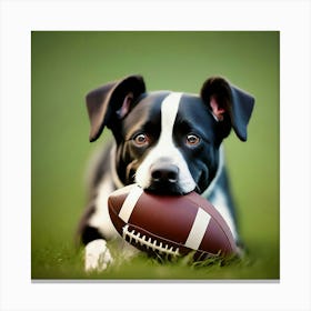 Dog With Football Canvas Print