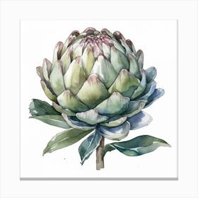 Artichoke Canvas Print