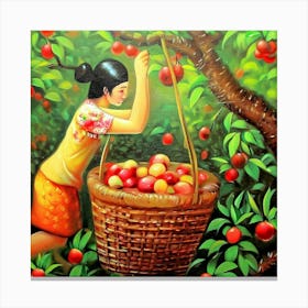 Asian Woman Picking Apples Canvas Print