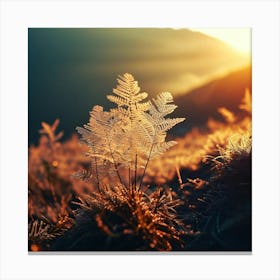 Ferns At Sunrise Canvas Print