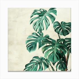 Monstera Plant Canvas Print