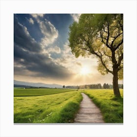 Path In The Field Canvas Print