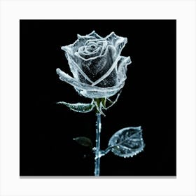 Frozen Rose Canvas Print