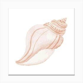 Pink Seashell 2 Canvas Print