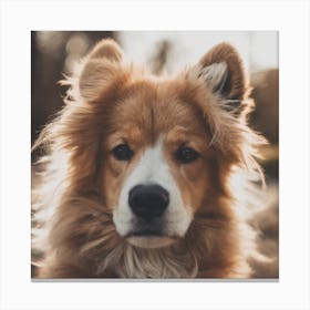 Portrait Of A Dog Canvas Print