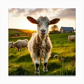 Grass Dairy Pasture Cattle Rural Rural Scene Green Goat Farm Grass Land Buck Eco Cute N (6) Canvas Print