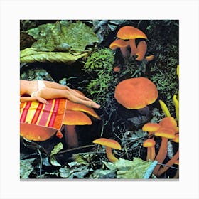 MUSHROOMS by Beth Hoeckel Canvas Print