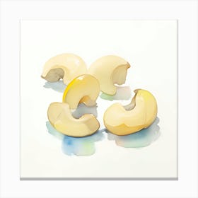 Cashew Nuts Canvas Print