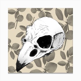 Crow Skull Canvas Print