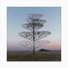 Tree In A Field 2 Canvas Print