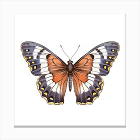 Butterfly 17 Canvas Print