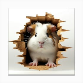 Guinea Pig In A Hole 1 Canvas Print