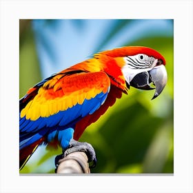 Colorful Parrot 4 Canvas Print