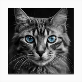 Blue Eyes Cat 1 Canvas Print