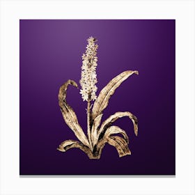 Gold Botanical Eucomis Punctata on Royal Purple n.0886 Canvas Print