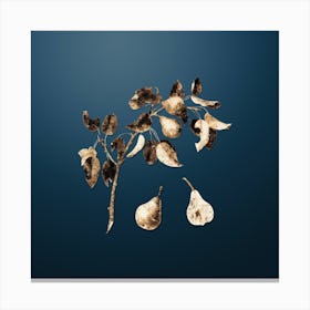 Gold Botanical Pear on Dusk Blue n.4355 Canvas Print