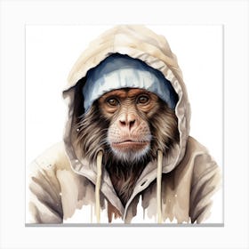 Watercolour Cartoon Capuchin Monkey In A Hoodie Canvas Print