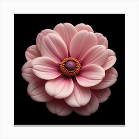 Dahlia Canvas Print