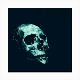 Skull In The Dark Canvas Print