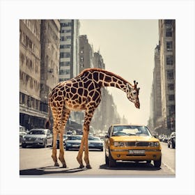 Giraffe In The City Canvas Print