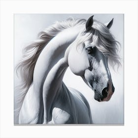 Beautiful White Stallion Canvas Print