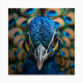 Peacock Portrait 3 Canvas Print