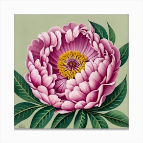 Pink Peony Canvas Print