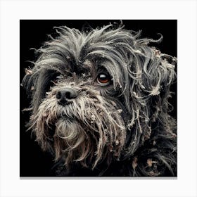 Old Dog 02 Canvas Print